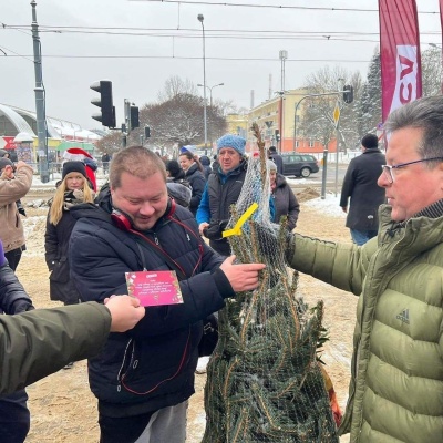 Bezpłatne choinki dla Łodzian